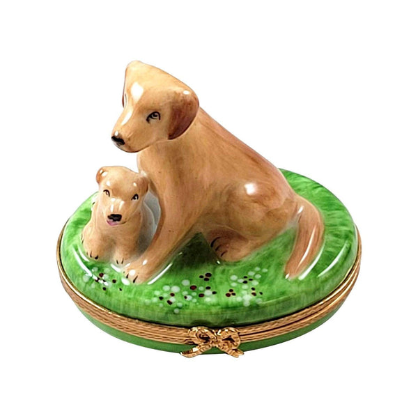 Lab & Retriever Collectors