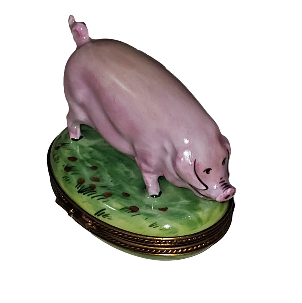 Pig on Green Grass Limoges Box USA, view 3