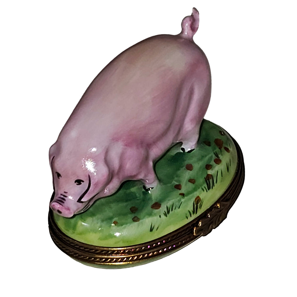 Pig on Green Grass Limoges Box USA, view 5