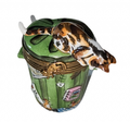 Cat on Trashcan Limoges Box for Cat Lovers Limoges, a hand-painted Limoges porcelain gift