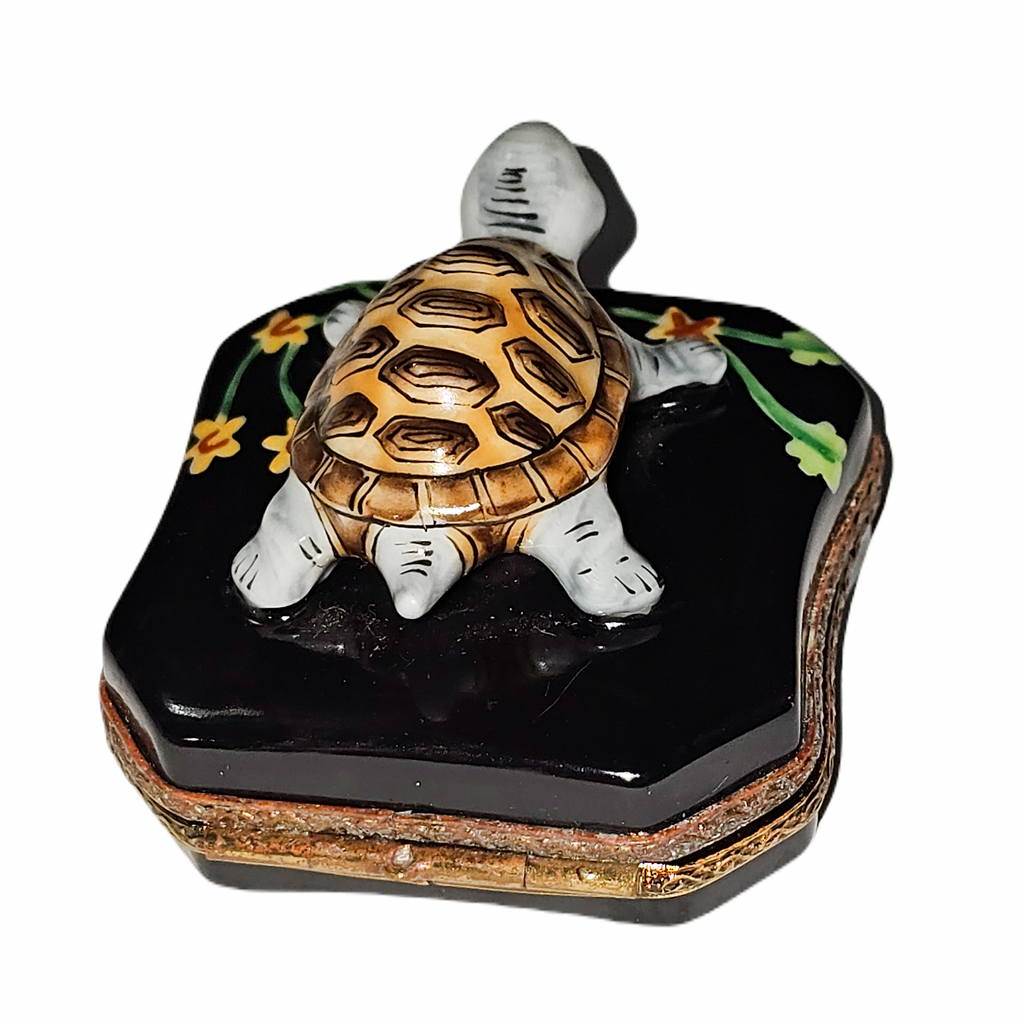 Turtle with Flowers Limoges Box, view 4