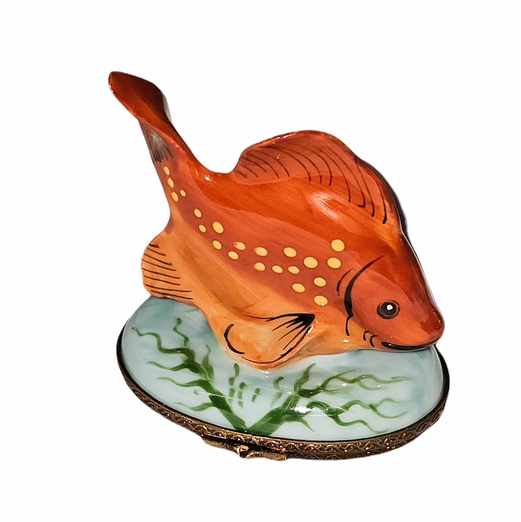 Vibrant Orange PV Fish Box for Collectors, view 3