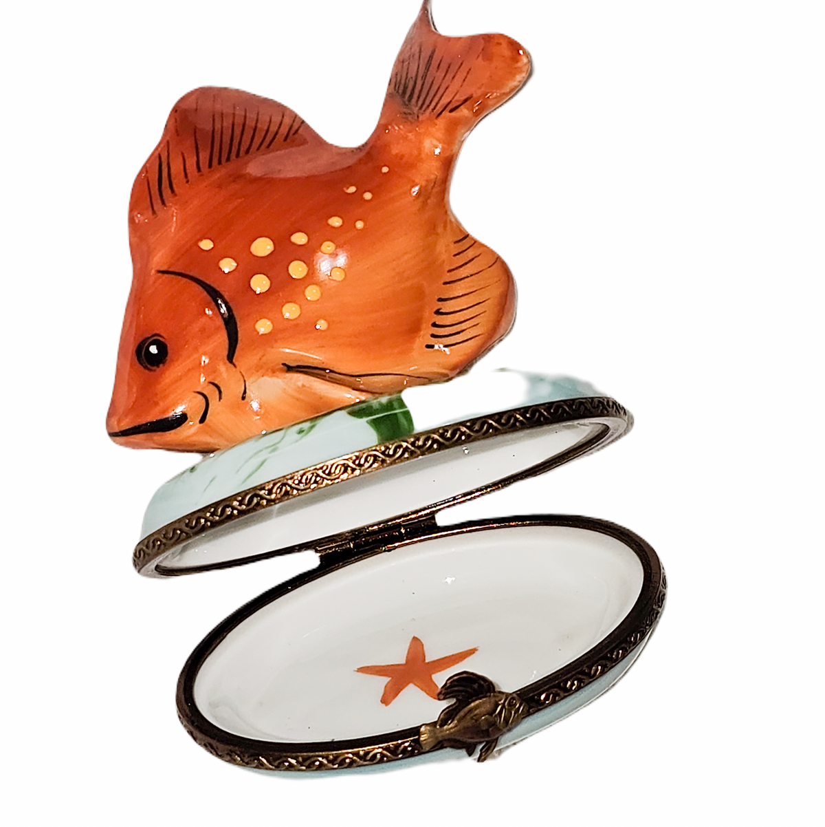 Vibrant Orange PV Fish Box for Collectors, view 2