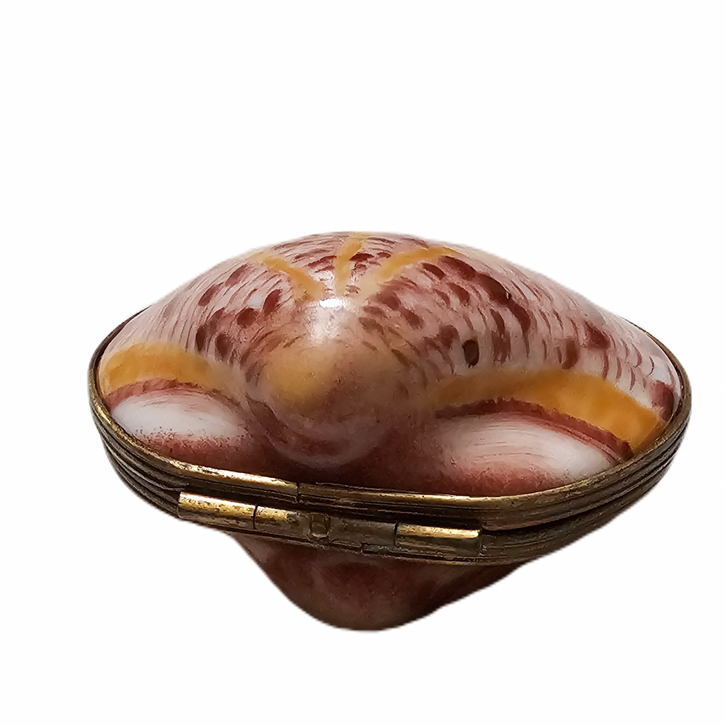 Sea Shell Treasure Box for Ocean Lovers, view 3