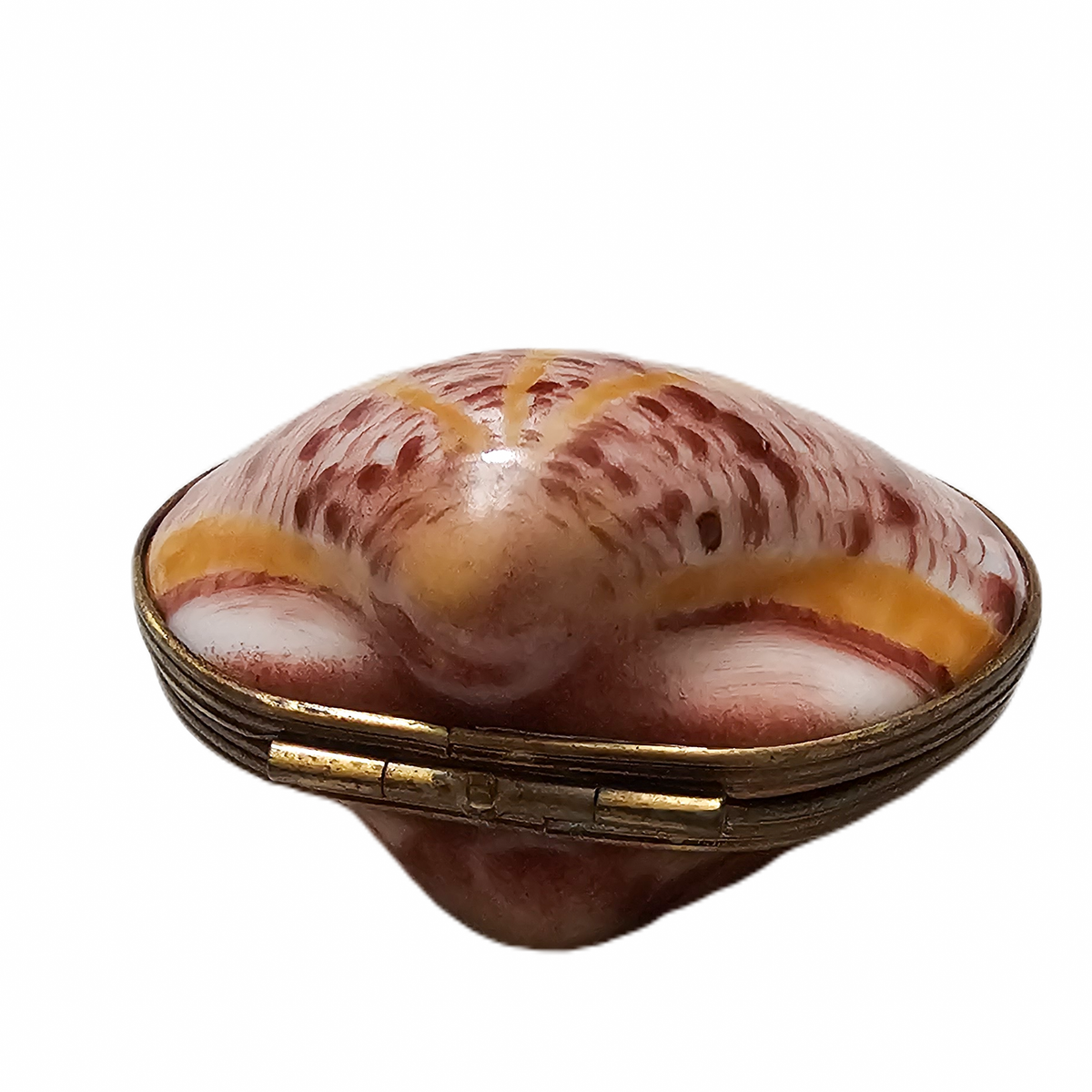 Sea Shell Treasure Box for Ocean Lovers, view 3