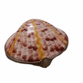 Sea Shell Treasure Box for Ocean Lovers, a hand-painted Limoges porcelain gift