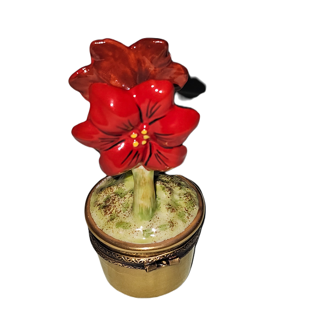 Red Flowers in Gold Pot for Home Decor, view 3