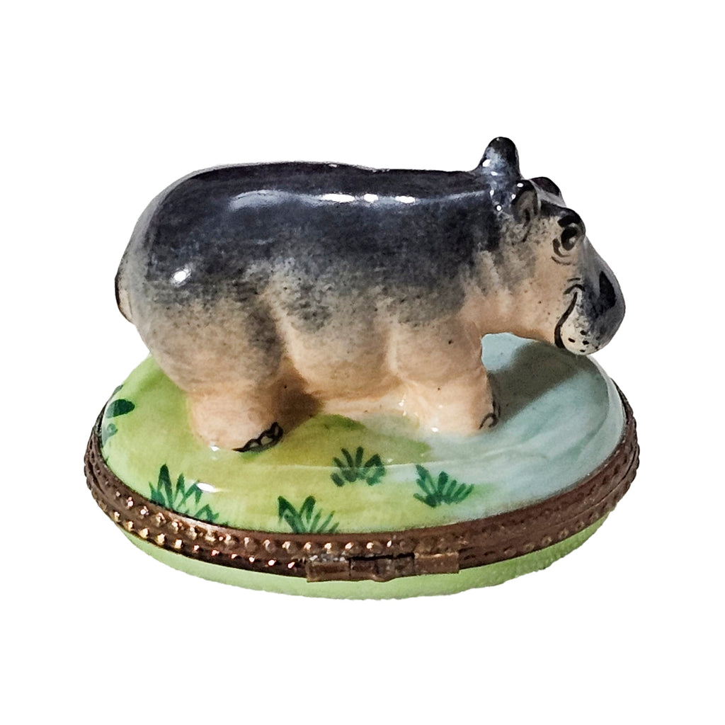 Charming Hippopotamus Box for Collectors, view 3