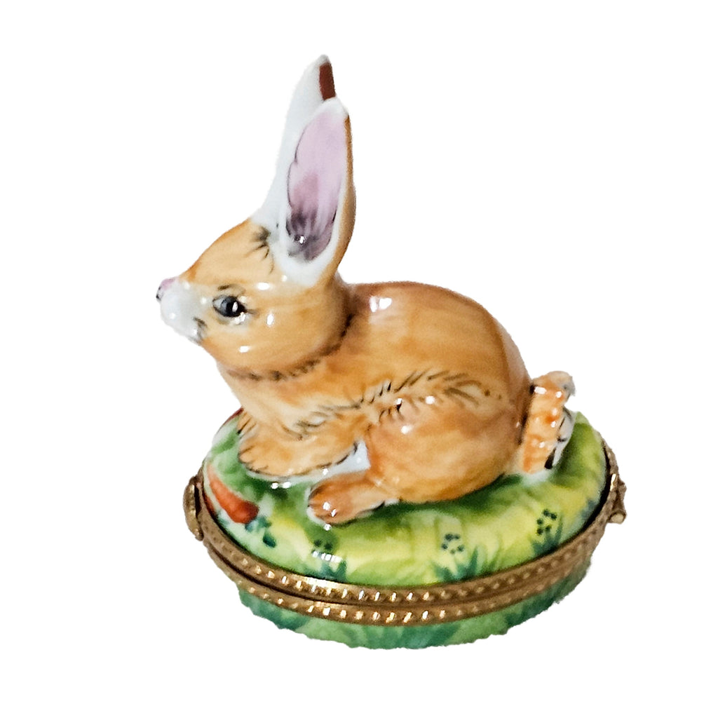 Rabbit on Grass Limoges Box for Charming Home Decor, view 5