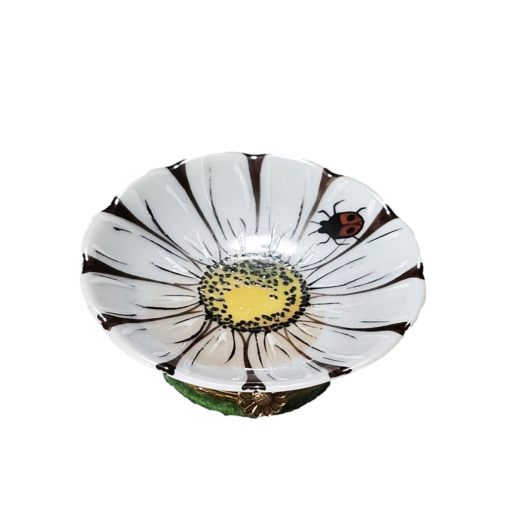 Large White Daisy with Ladybug Limoges Box, a hand-painted Limoges porcelain gift