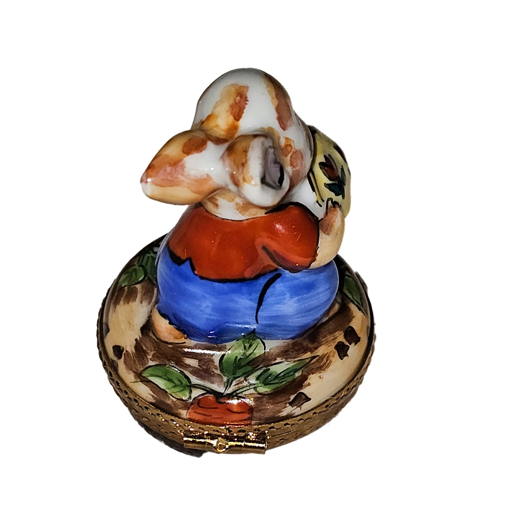 Rabbit w/ Watering Can Limoges Box, view 3