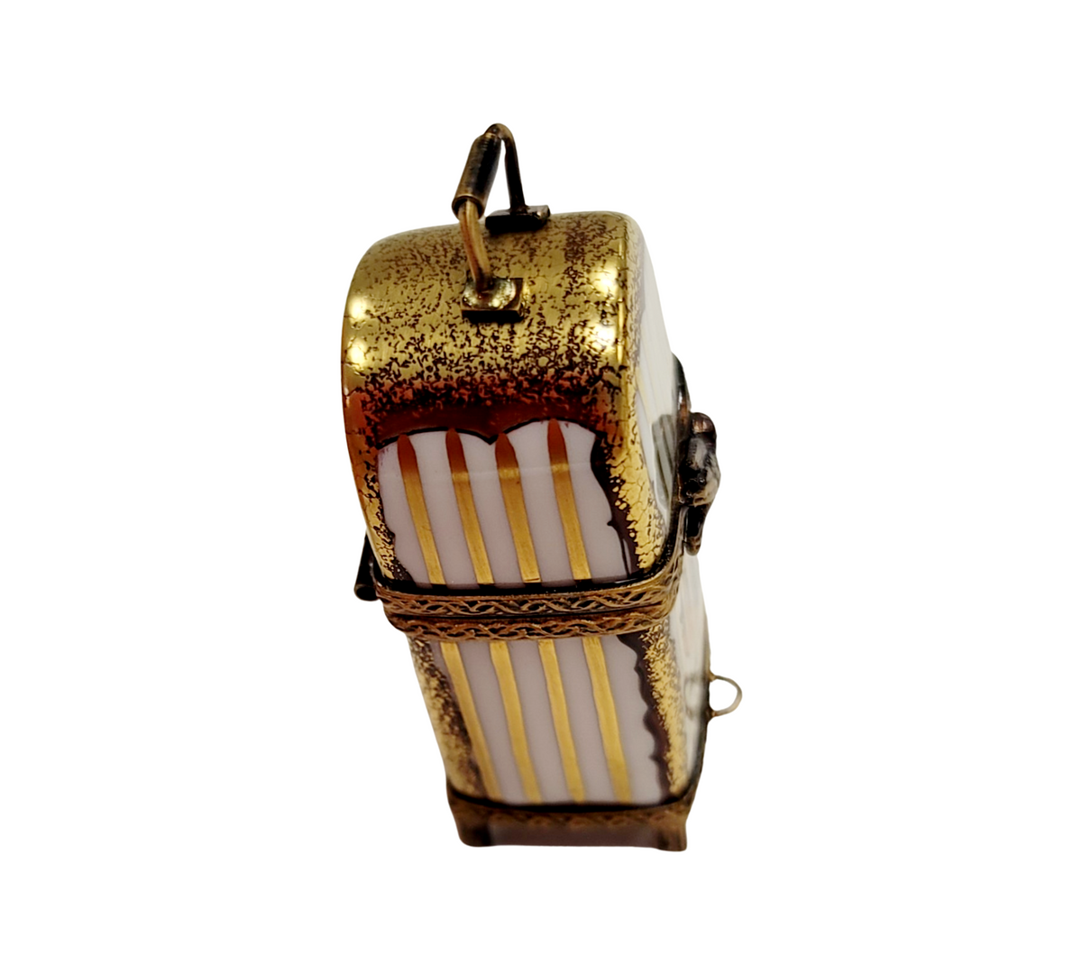 Bird in Small Cage Limoges Box Figurine for Collectors, view 3