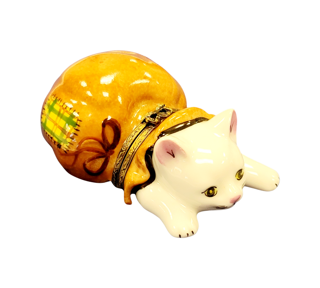 Every brushstroke by hand on the Cat in Bag Limoges box from France