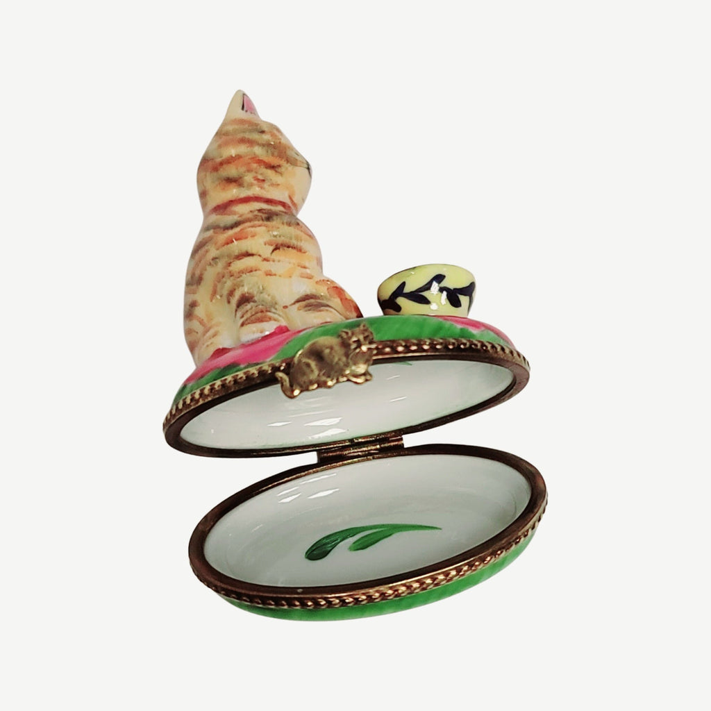 Treasured French collectible: Cat with Pink Cup Limoges box, painted by hand