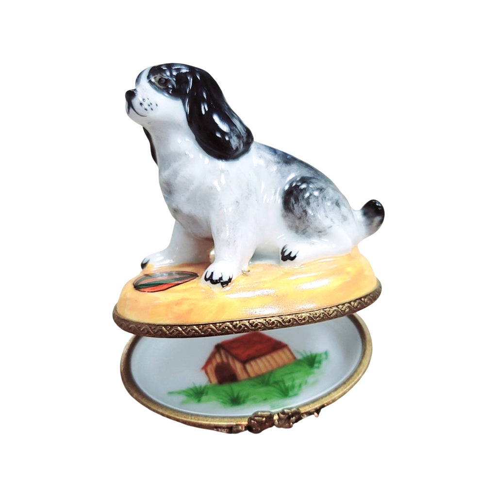 Dog W Ball Limoges Box for Dog Lovers, view 2