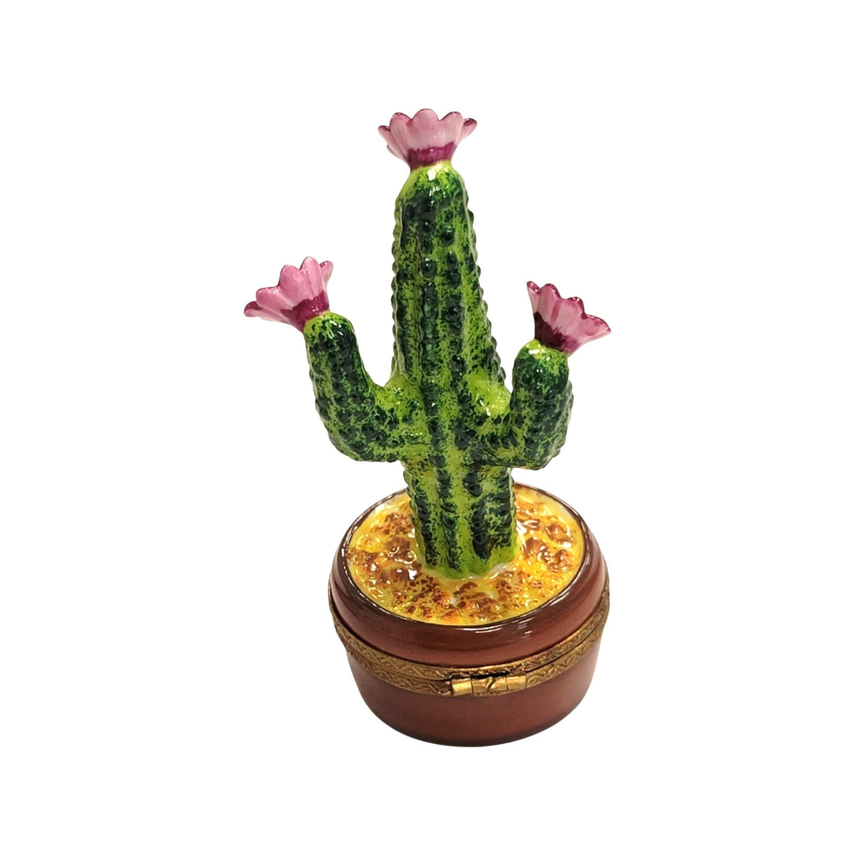 Cactus Flowering in Pot Limoges Box, view 3