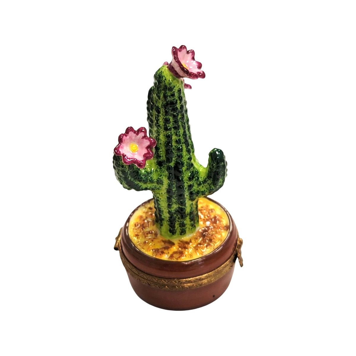 Cactus Flowering in Pot Limoges Box, view 5