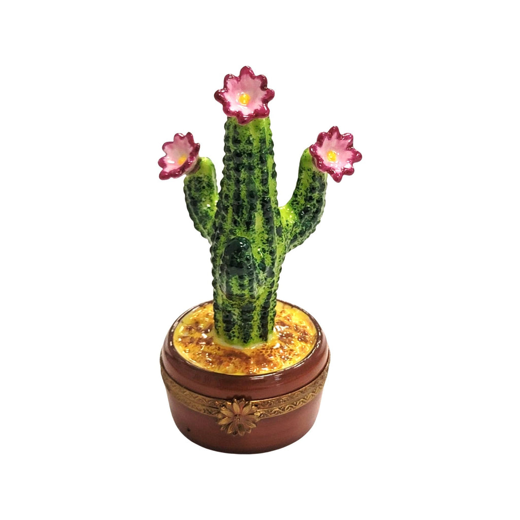 Cactus Flowering in Pot Limoges Box, view 6