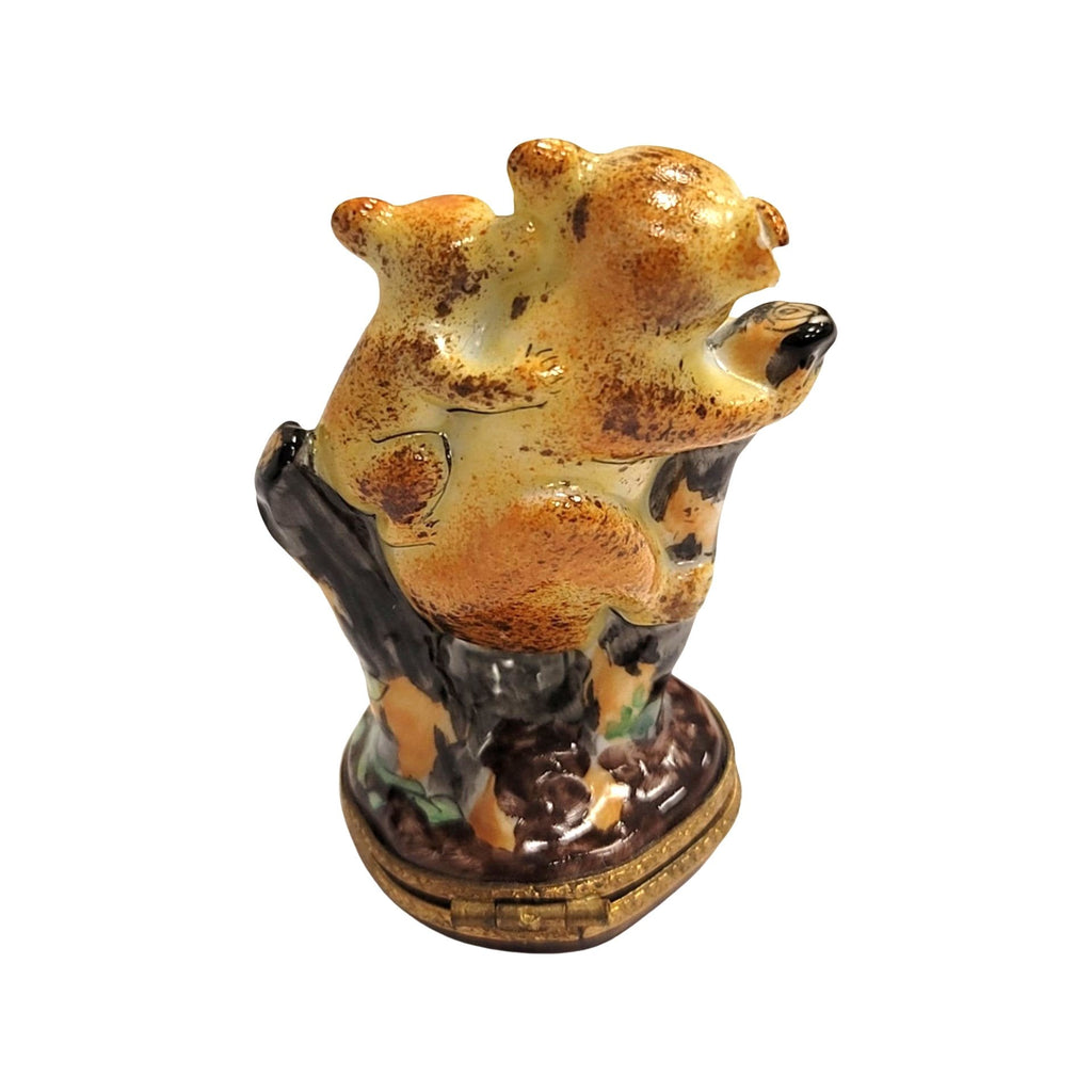 Treasured French collectible: 2 Koala Bear Limoges box, painted by hand