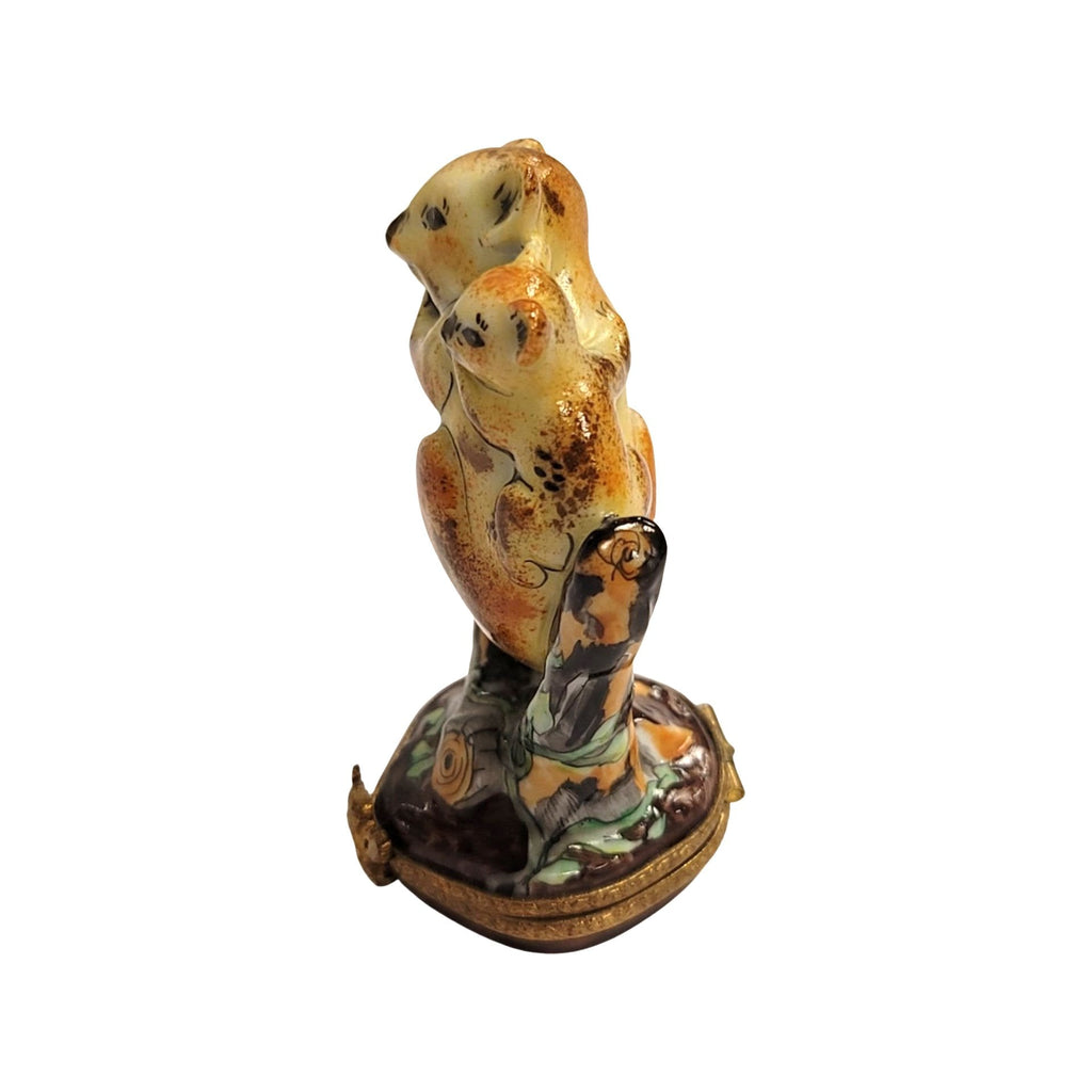 Every brushstroke by hand on the 2 Koala Bear Limoges box from France