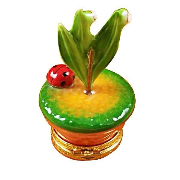 Treasured French collectible: Lily of the Valley with Ladybug in Pot Limoges box, painted by hand