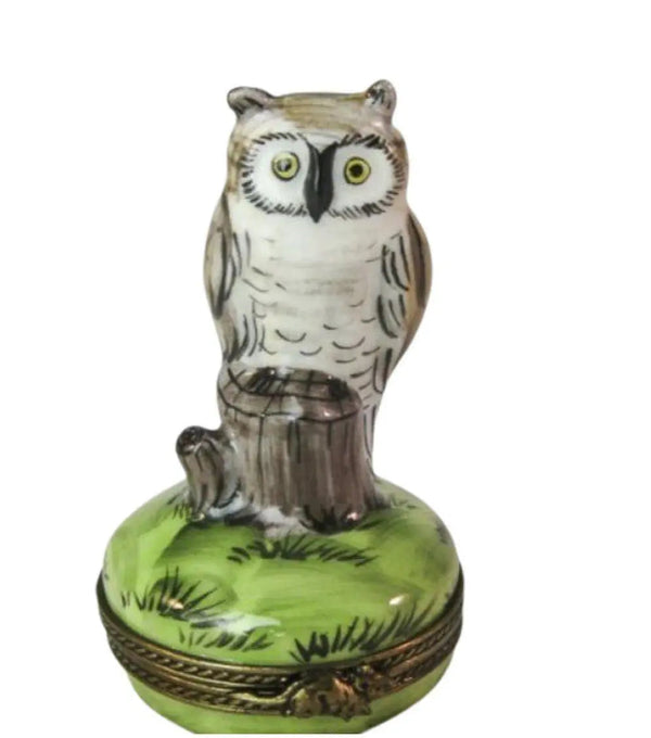 Owl Collectors