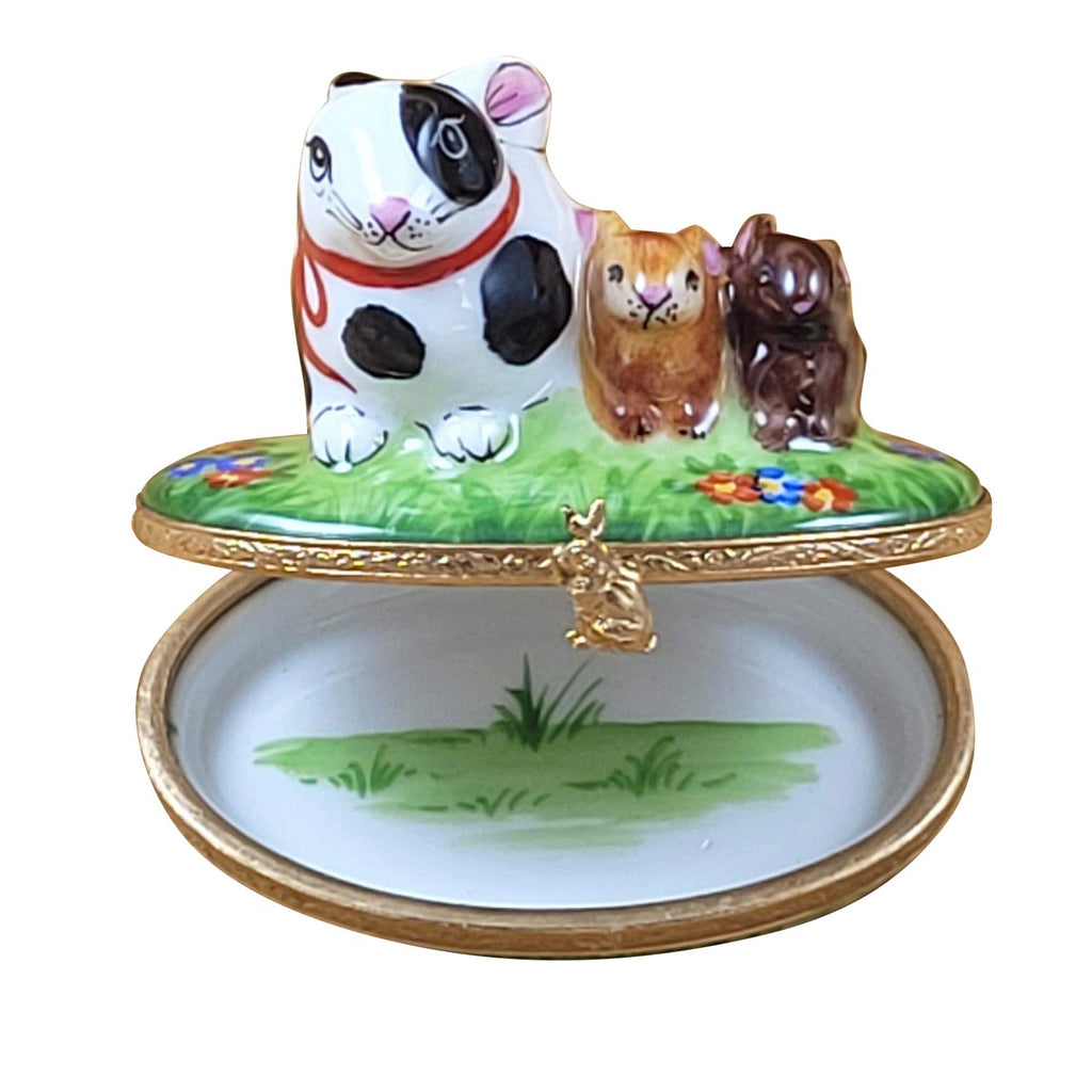 Funny Rabbit with Babies on Spring Flowers Limoges Box, view 2