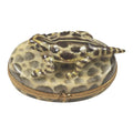 Limoges Boxes Horned Toad Turtle Trinket Box, a hand-painted Limoges porcelain gift