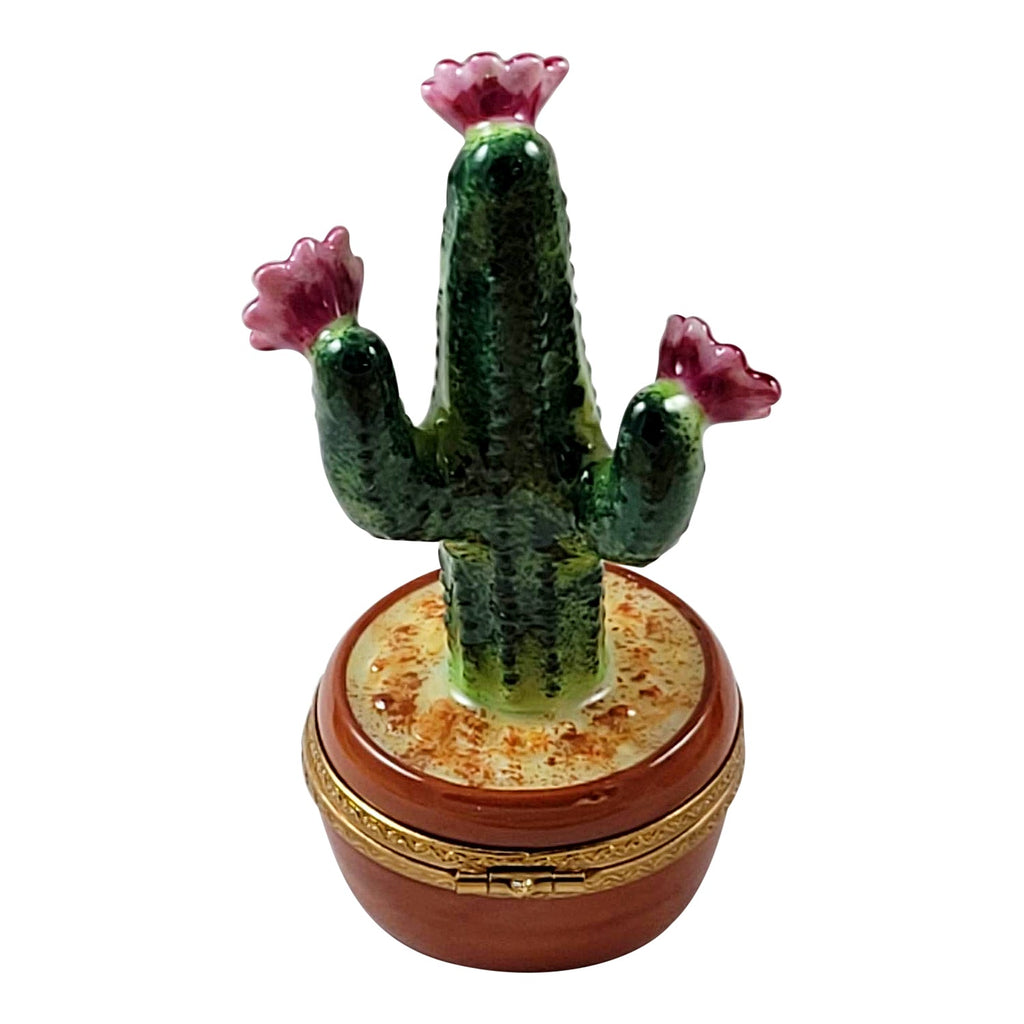 Flowering Cactus in Pot Limoges Box for Plant Lovers, view 3