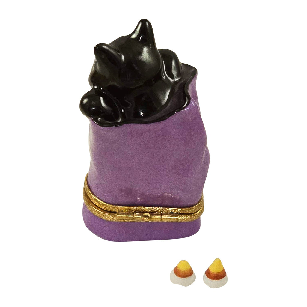 Cat in Trick-or-Treat Bag Halloween Limoges Box, view 3