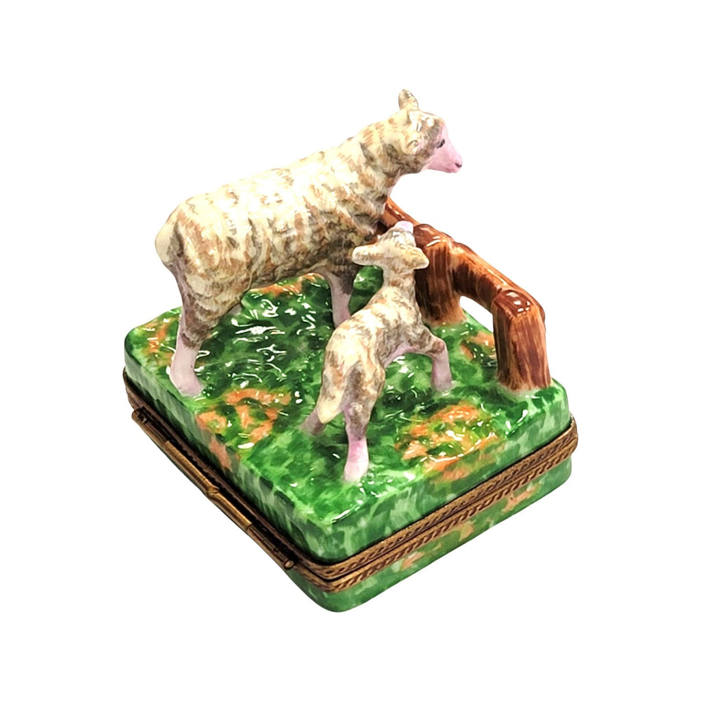 Sheep and Lambs Delight for Farm Lovers, view 5