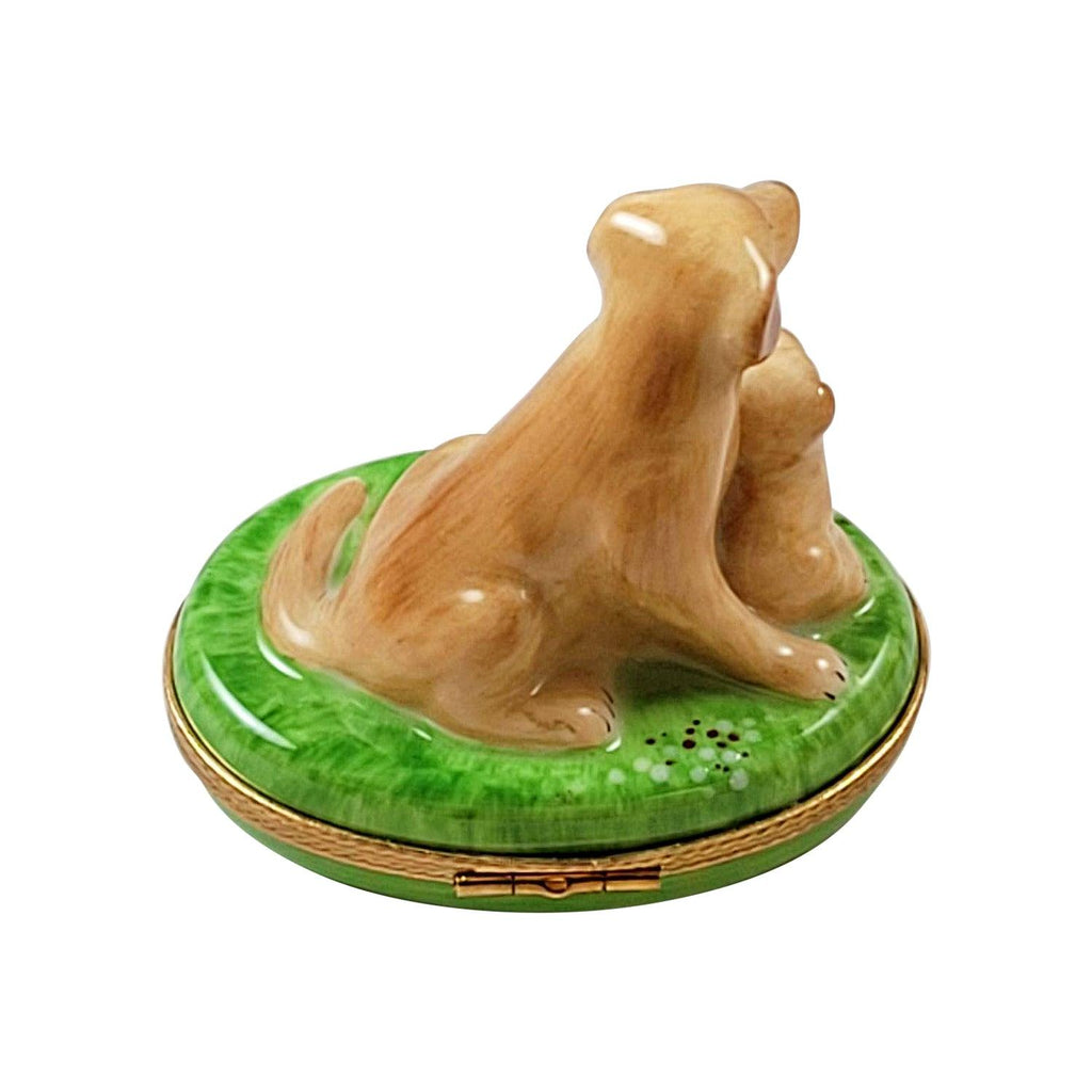 Sitting Yellow Lab Puppy and Removable Bone Limoges Box, view 3