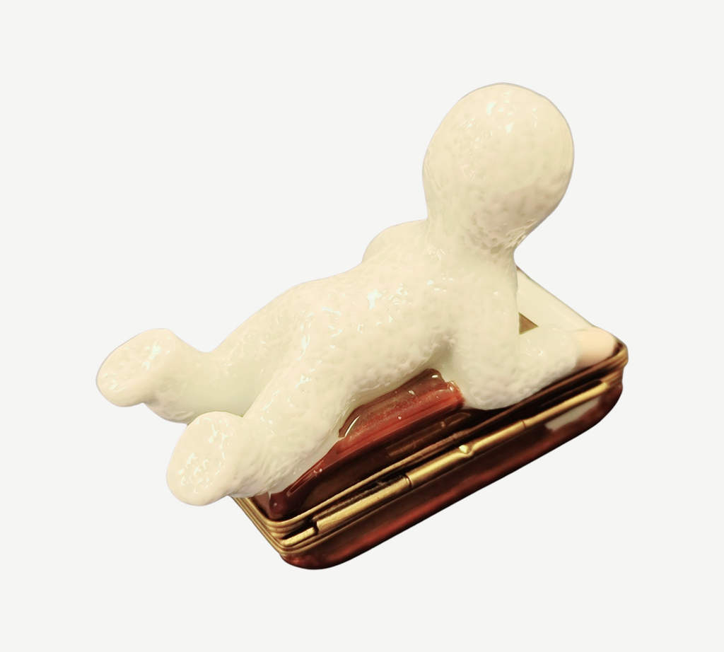 Treasured French collectible: Snow Baby Kid on Sled Winter Sleigh Limoges box, painted by hand