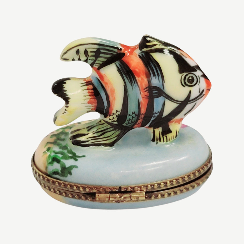 Collectible Tropical Fish Limoges box with artisan brushwork