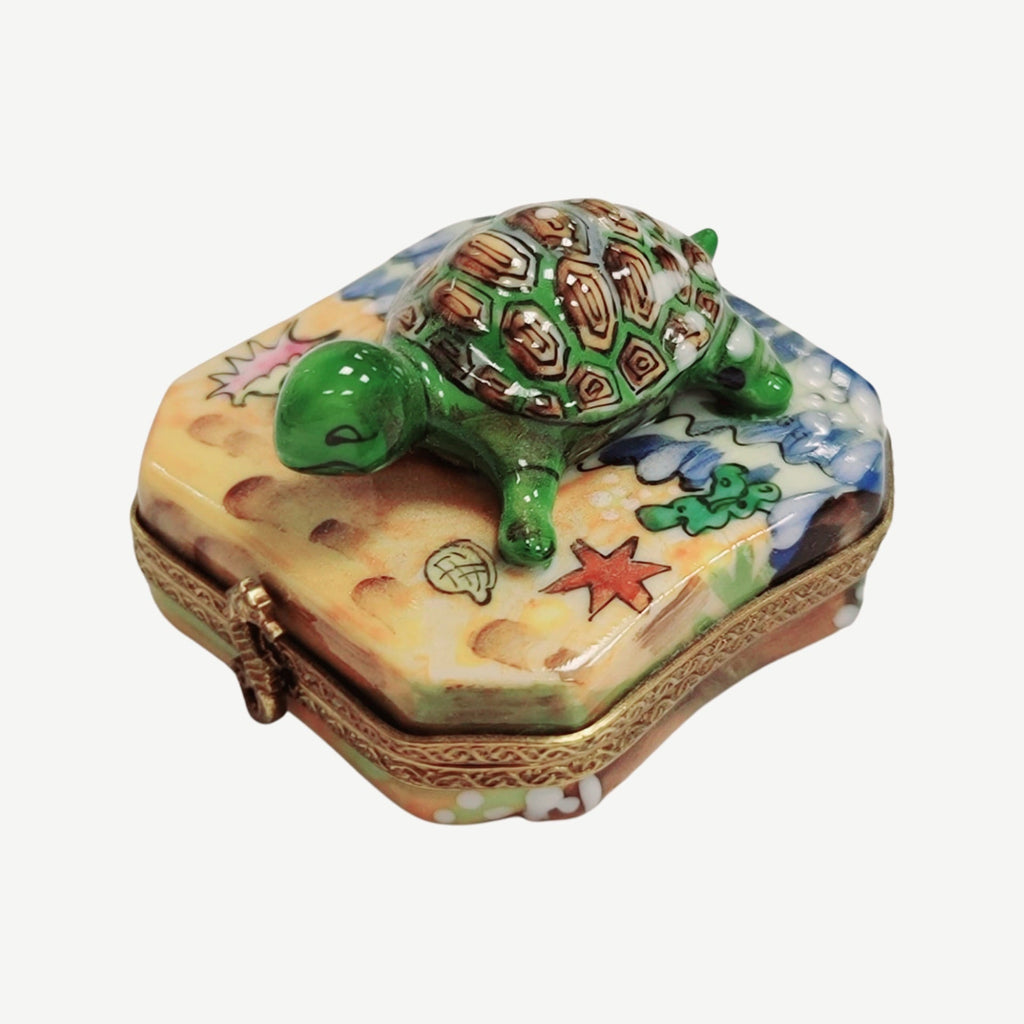 Turtle Beach Limoges Box for Collectors, view 9