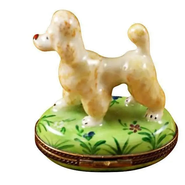 Artisan-painted Apricot Poodle Limoges box from France, a cherished collectible