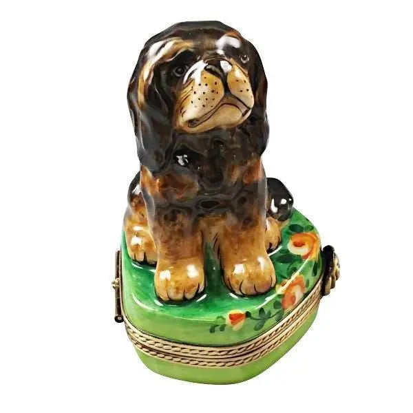 Black and Tan King Charles Spaniel for Dog Lovers, view 3