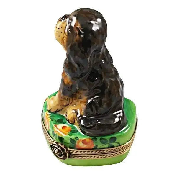 Black and Tan King Charles Spaniel for Dog Lovers, view 4