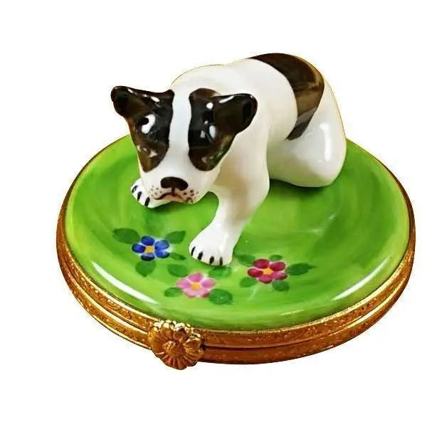 Boston Terrier Dog Limoges Box, a hand-painted Limoges porcelain gift