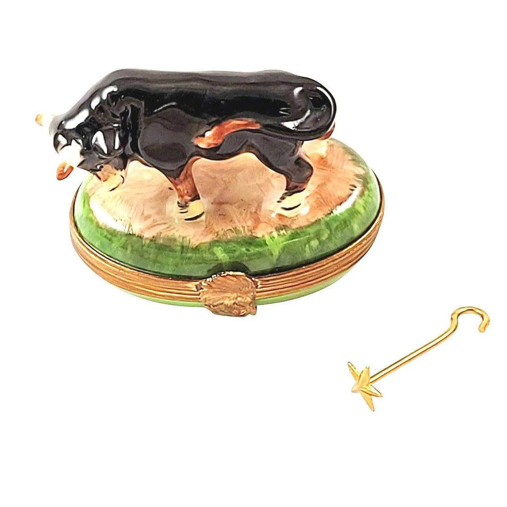 Bull Cow w Branding Rod Limoges Box, a hand-painted Limoges porcelain gift