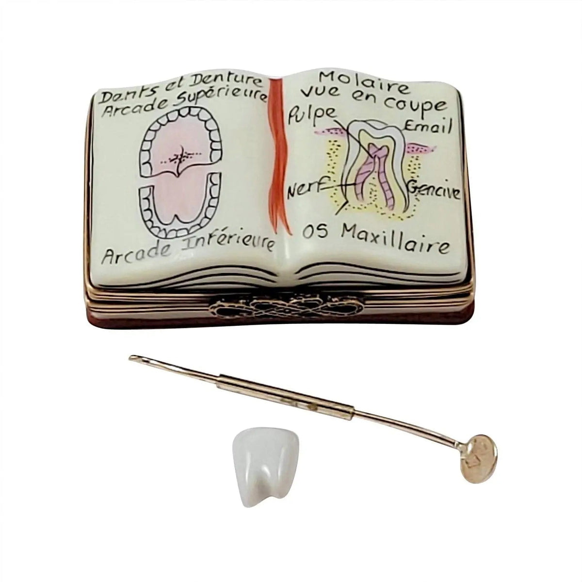 Dentistry Book Limoges Box Collectible, a hand-painted Limoges porcelain gift