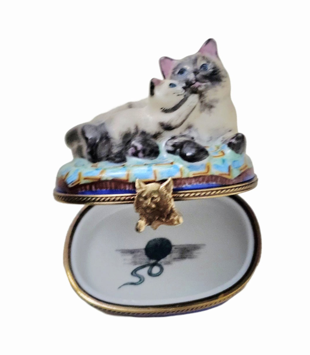 Siamese Cat w Kitten Limoges Box, view 2