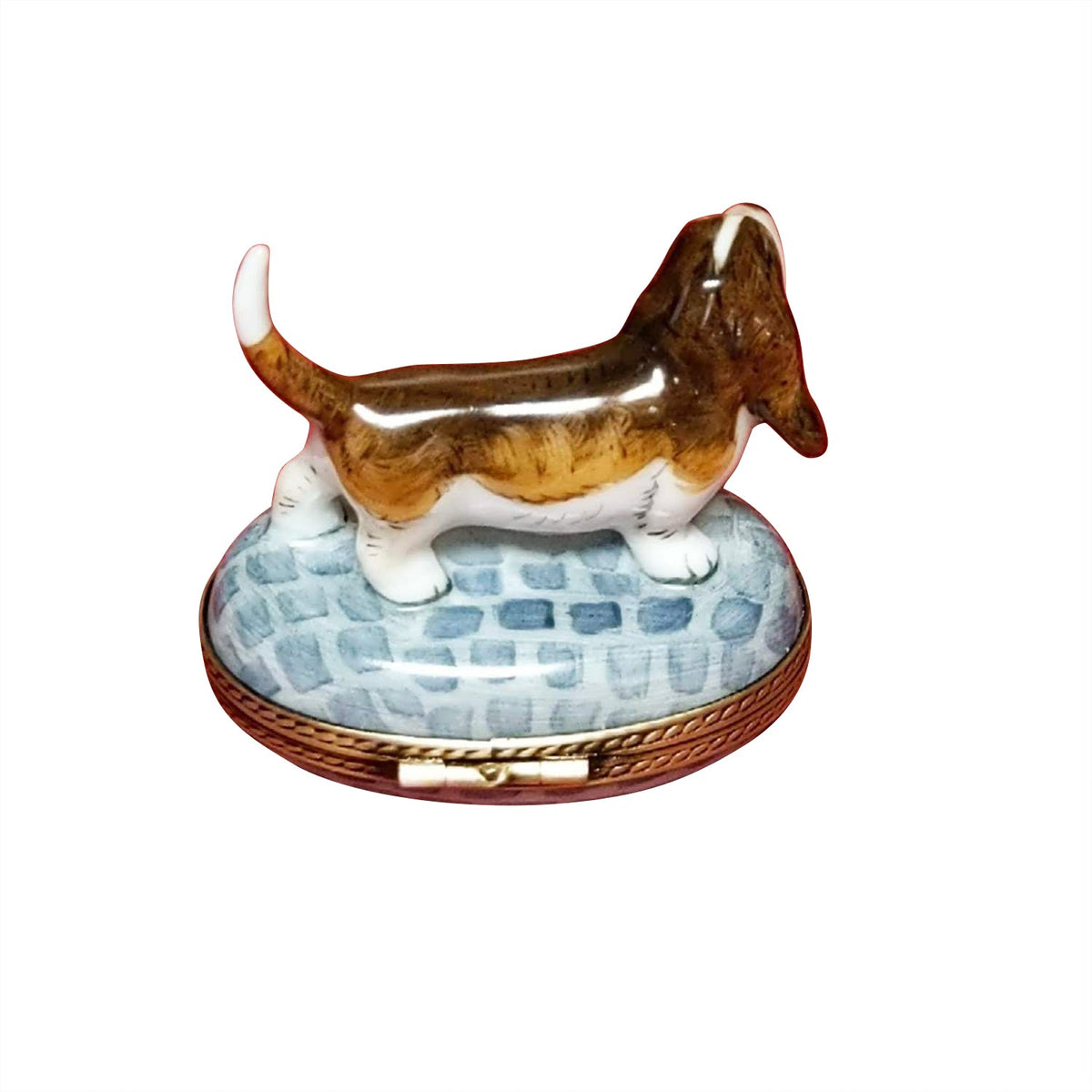 Bassett Hound Beagle on Stones, view 3