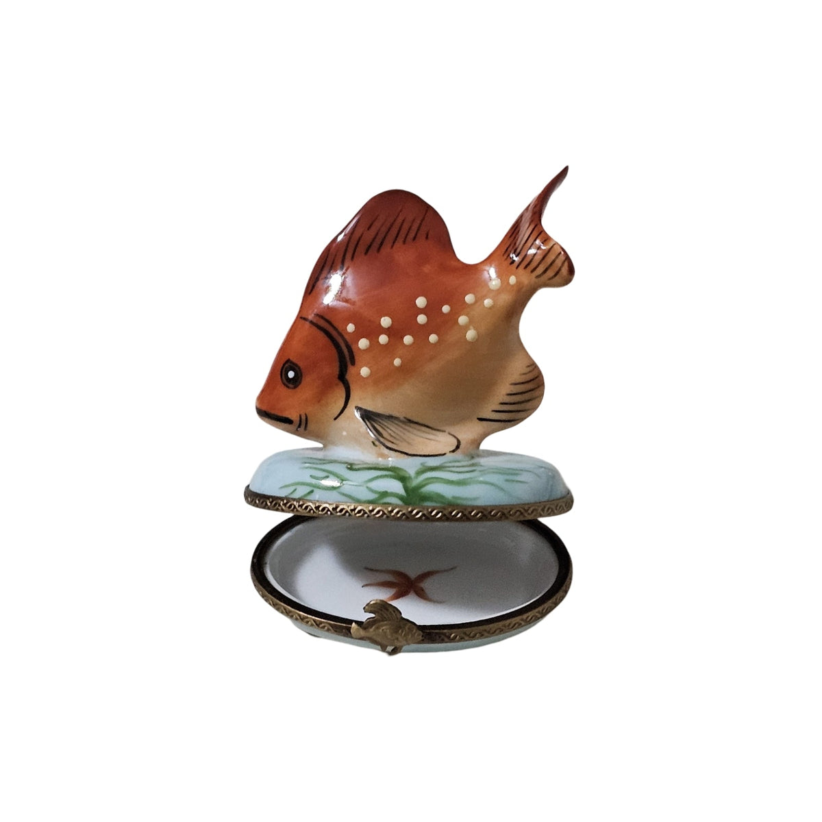 Orange Tropical Fish Box for Collectors, view 4
