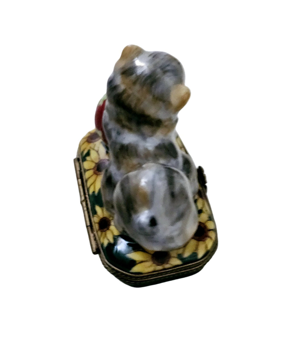 Cat W Ball and Butterfly Limoges Box, view 5