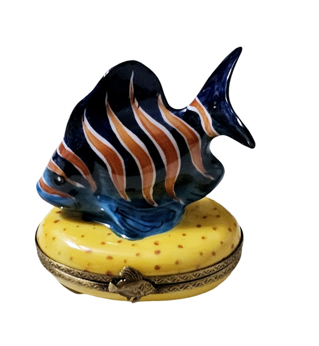 Blue Fish Orange Stripe Limoges Box, view 4