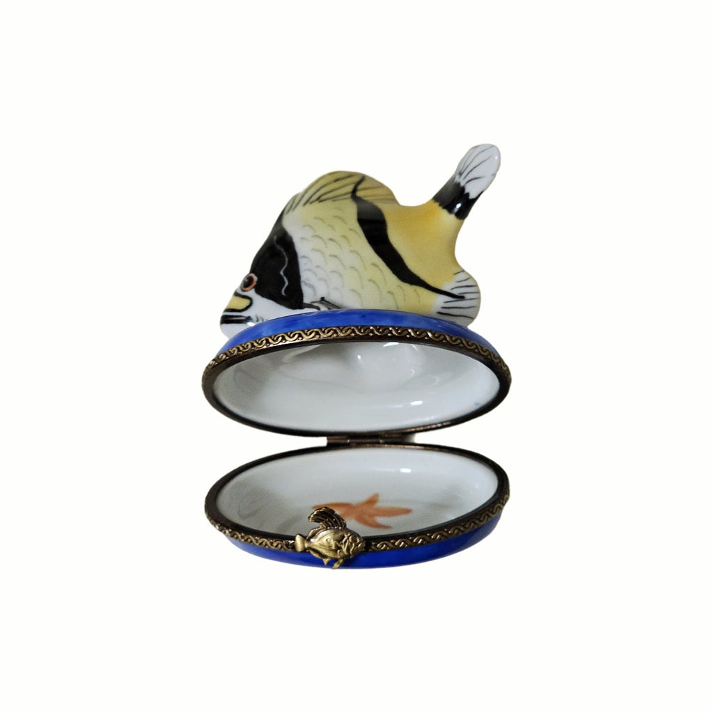Yellow Masked Fish Black Stripes Limoges Box for Collectors, view 4