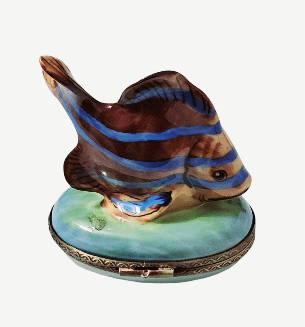 Brown Fish Blue Stripe Limoges Box, view 4