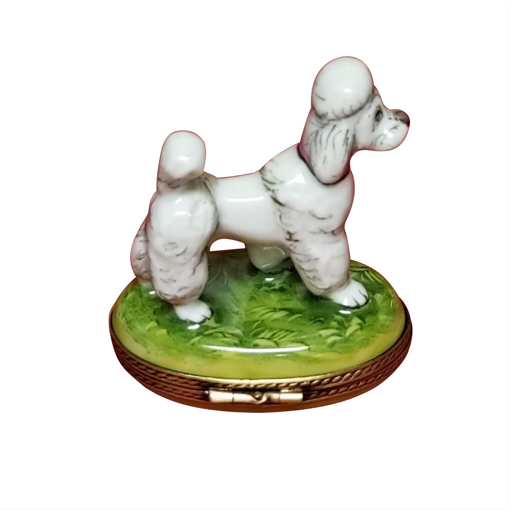 White Poodle, view 3