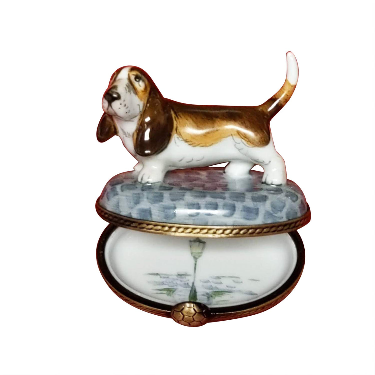 Bassett Hound Beagle on Stones, view 2